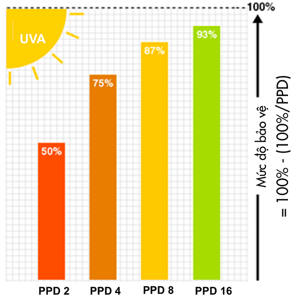 Mức độ bảo vệ của từng chỉ số PPD khi tia UVA tiếp xúc với da - sử dụng kem chống nắng