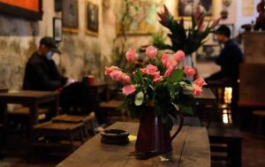 Hoa trong căn phòng nhỏ - cà phê Cuối ngõ