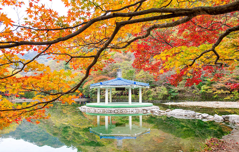 Naejangsan National Park in Autumn,South Korea