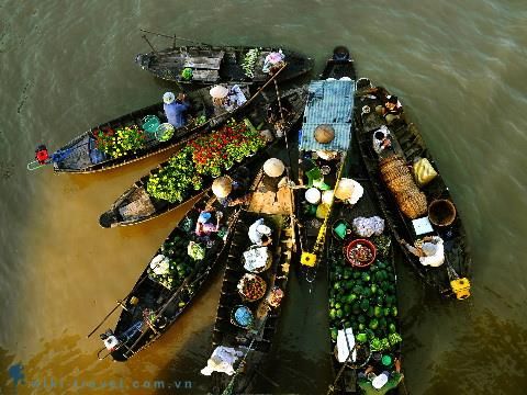 Văn hóa vùng sông nước thể hiện sự hài hòa giữa con người và thiên nhiên