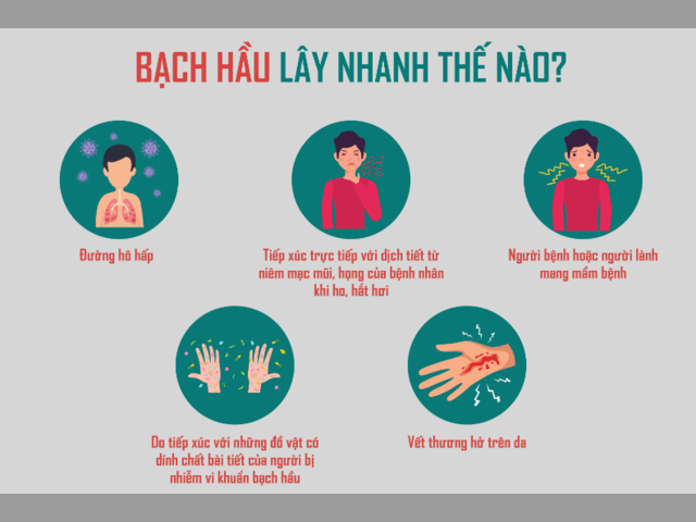 Bệnh bạch hầu và một số khả năng lây lan cao