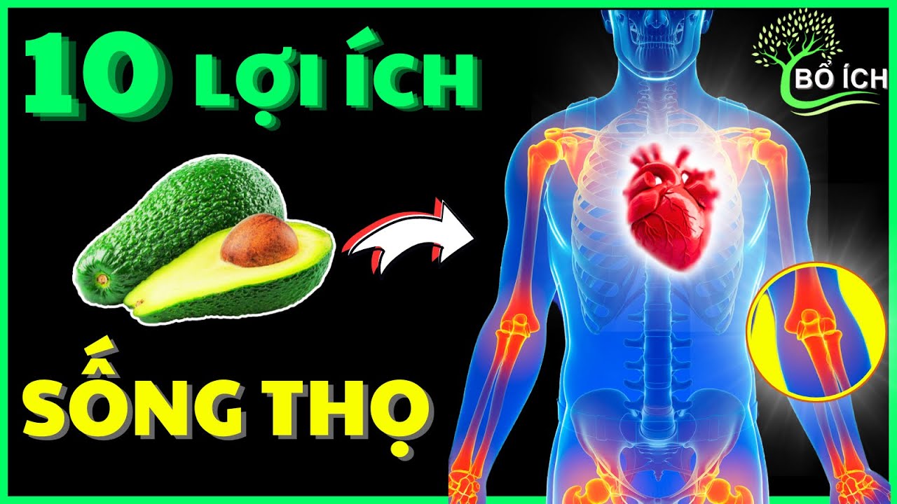 Lợi ích Quả bơ – Siêu thực phẩm cho sức khỏe và sắc đẹp