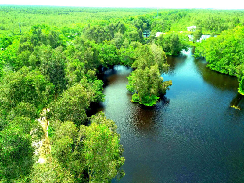Khu bảo tồn thiên nhiên U Minh Thượng, với hệ sinh thái rừng ngập mặn độc đáo, là điểm đến du lịch sinh thái lý tưởng và bảo vệ thiên nhiên