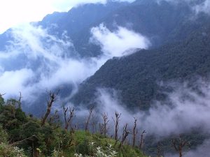 Mây dày đặc và bông xốp tràn ngập khắp nơi, bao bọc lấy cả khu vực đỉnh Fansipan - du lịch Việt Nam