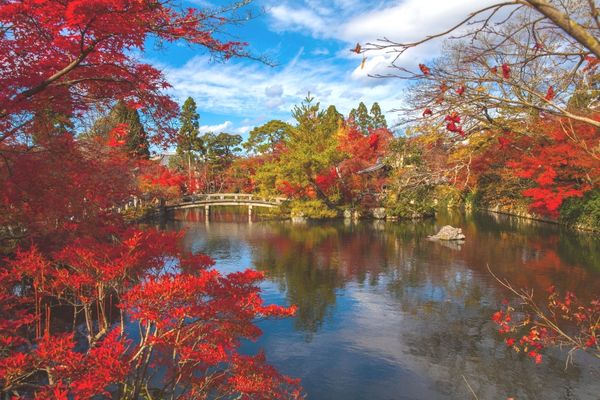 Mùa thu Nhật Bản với lá đỏ ngập trời